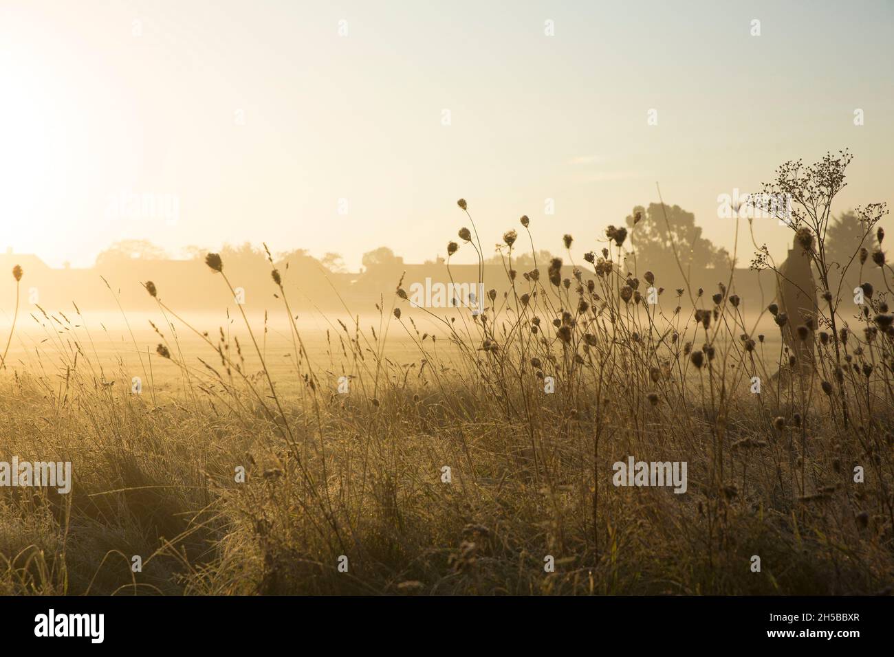 A morning mist in a park in Ilford, East London, as the temperature