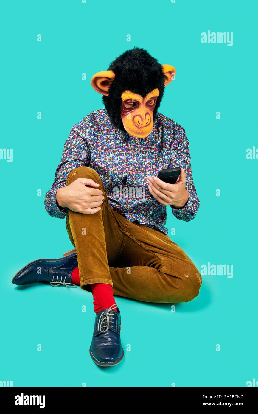a man wearing a monkey mask and colorful clothes, is watching his smartphone, as having a video call, sitting on a blue background Stock Photo