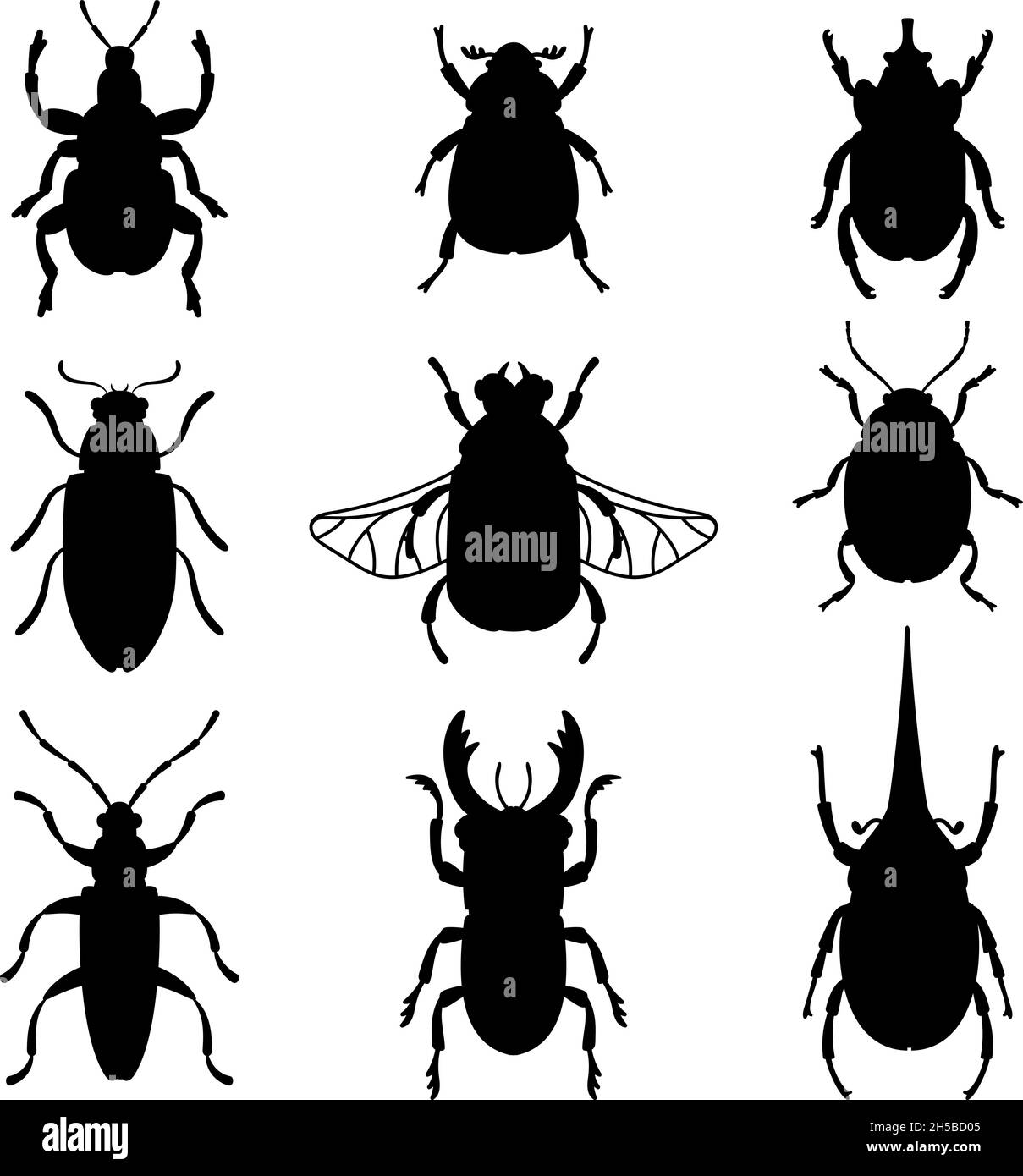 Bugs silhouettes set. Black stencils shapes of beetles, contours of ...