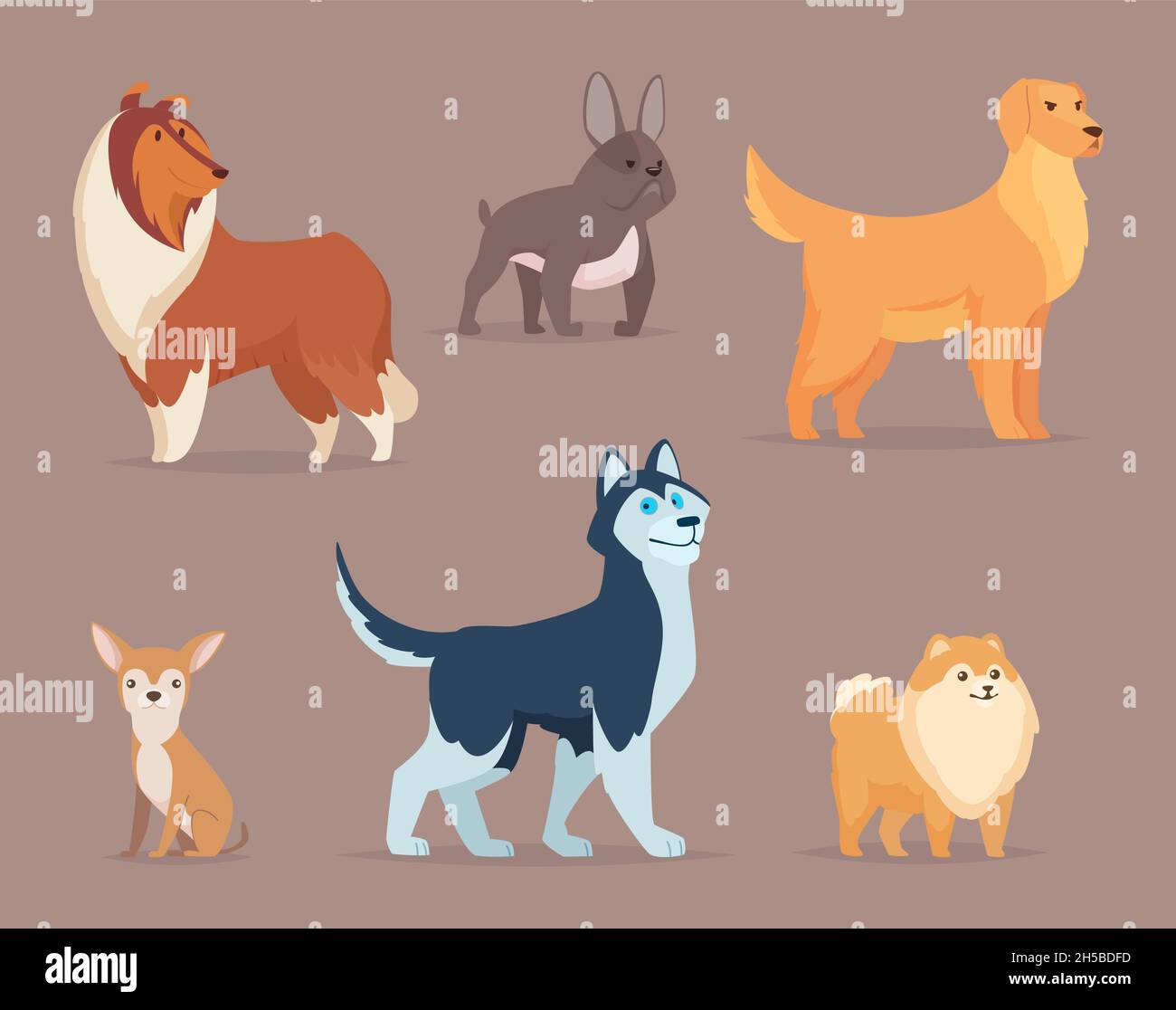 Dogs breeds. Domestic animals funny puppy sitting walking jumping terrier bulldog poodle dachshund exact vector cartoon illustrations of dogs Stock Vector