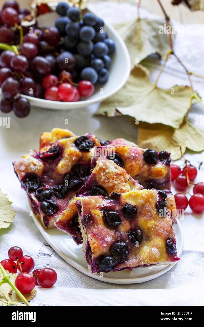 Traditional Italian yeast dough pie with grapes Schiacciata and bunches of grapes on a light background. Stock Photo