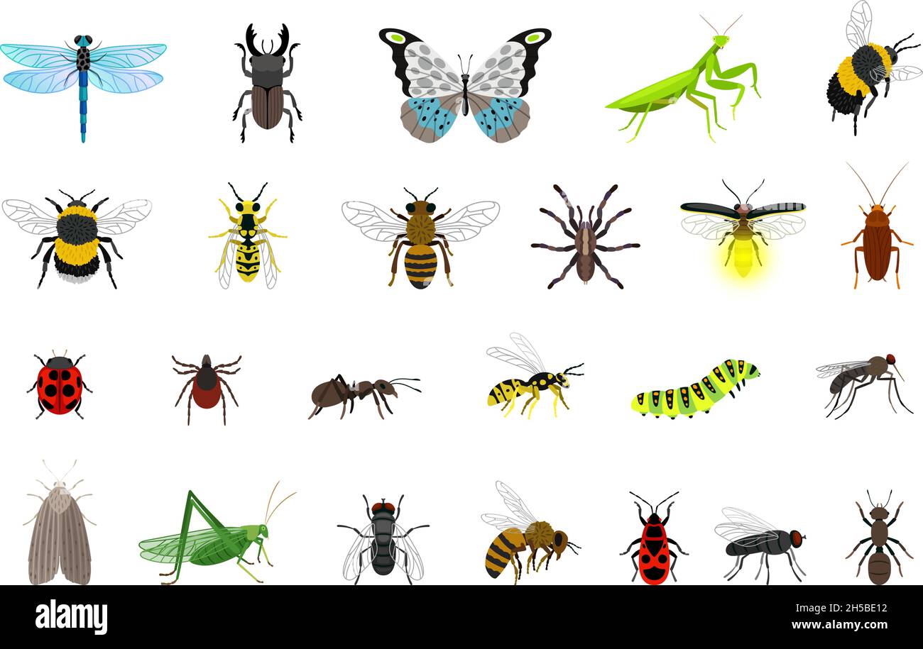 Small insects deals