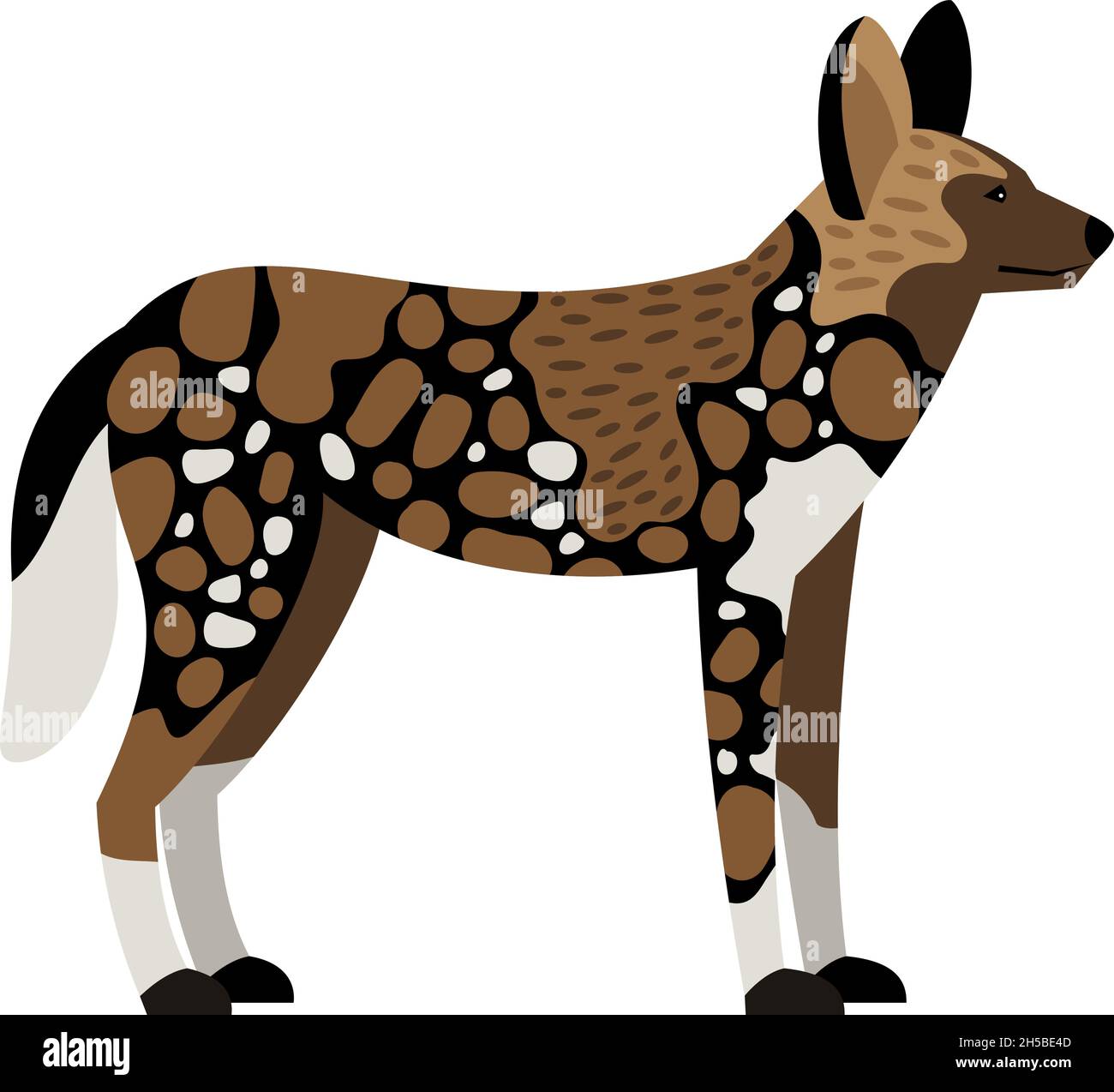 African wild dog. Cartoon image of savannah creature, carnivore of nature,  vector illustration of wildlife character isolated on white background  Stock Vector Image & Art - Alamy