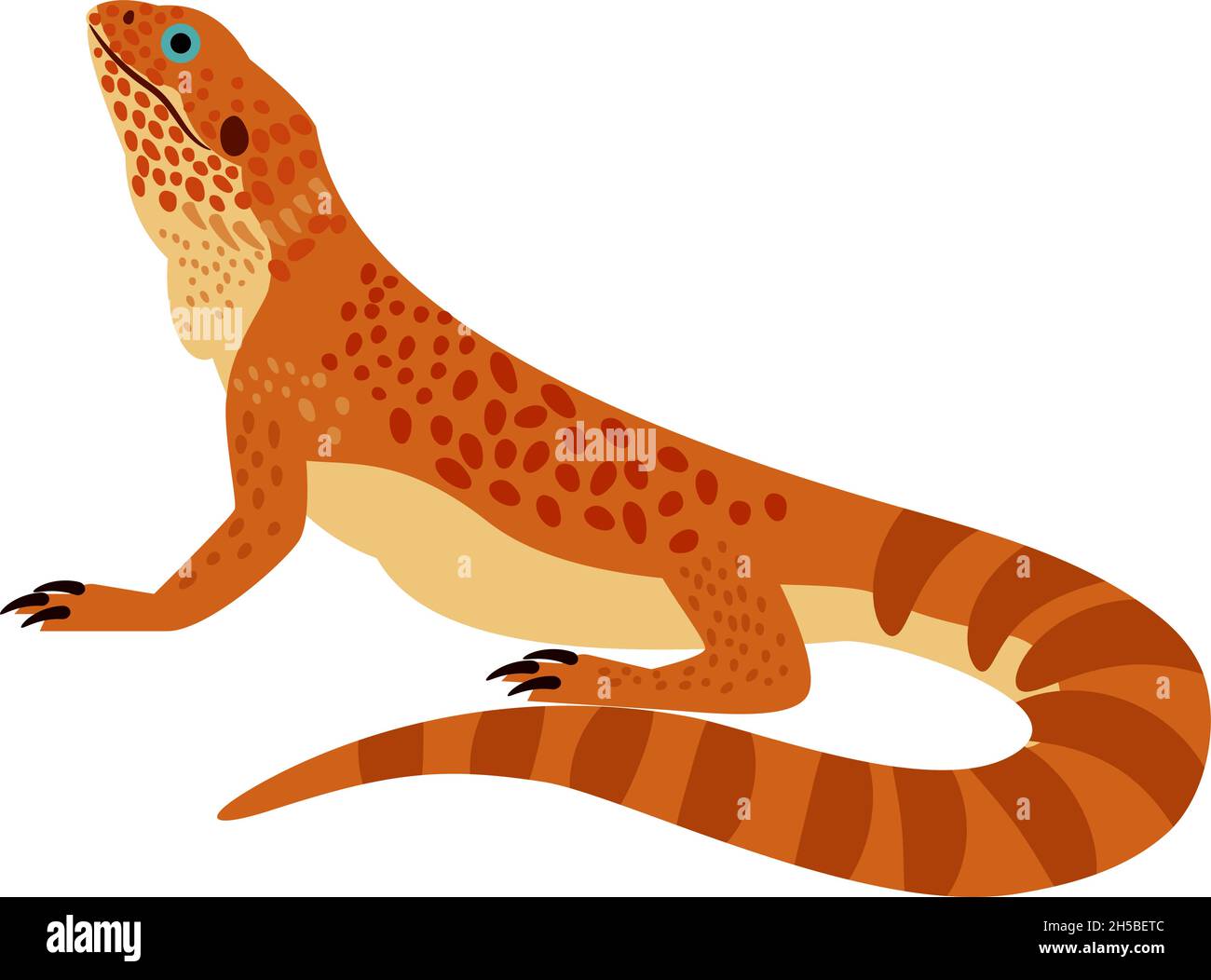 Tropical reptile. Cartoon zoo character, wild orange bearded dragon, vector illustration of terrarium lizard isolated on white background Stock Vector