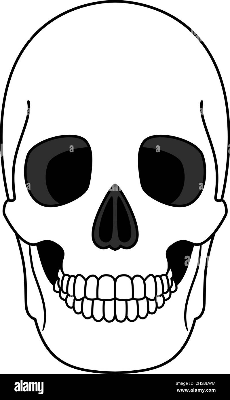 Decoration from outline skull. Anatomical correct element of human skeleton with teeth, ancient head bone with black eyes sockets, vector illustration of traditional symbol of horro Stock Vector
