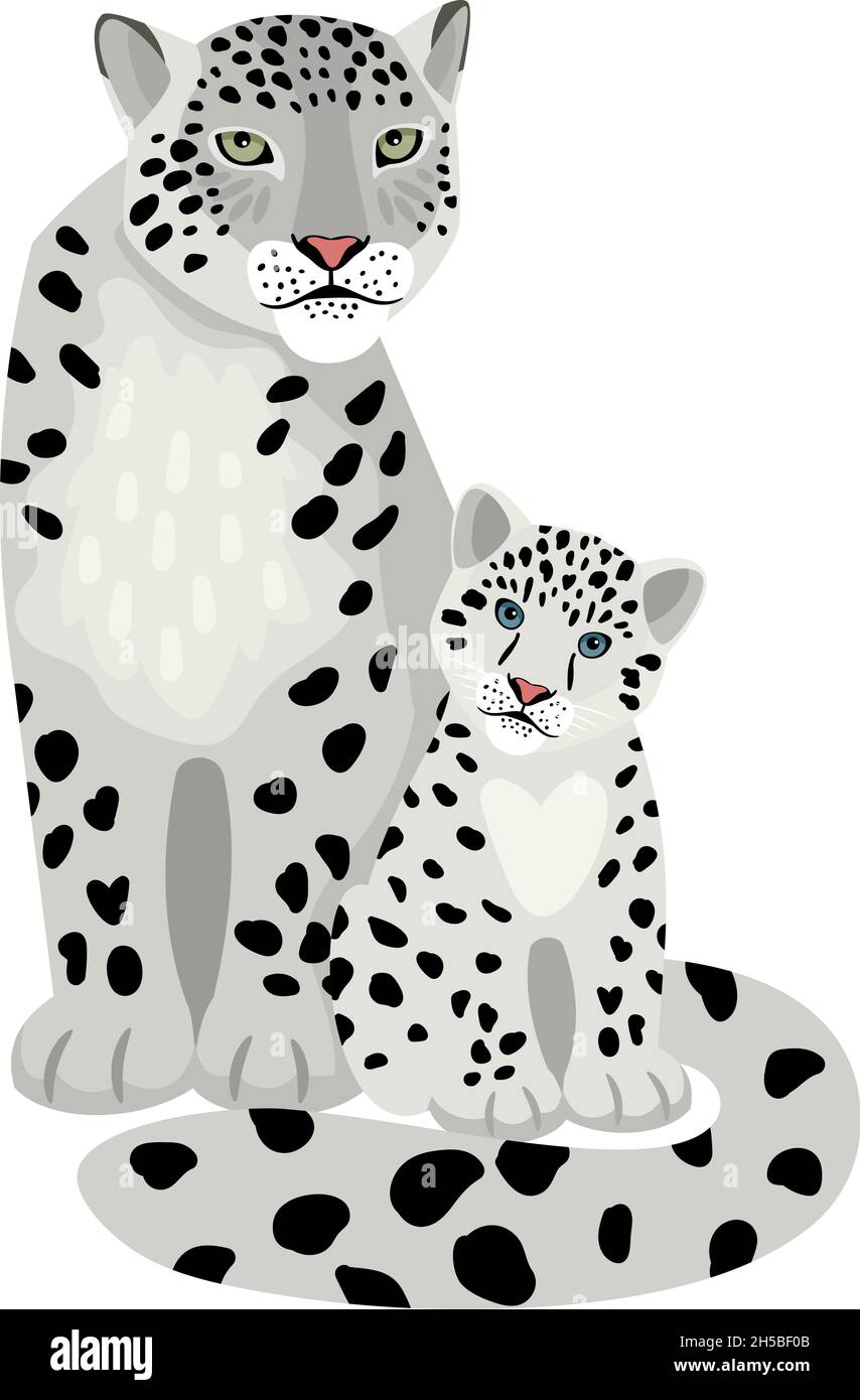 Snow leopards. Cartoon wild mammals with spots, exotic beasts of wildlife, vector illustration of aggressive cats isolated on white background Stock Vector
