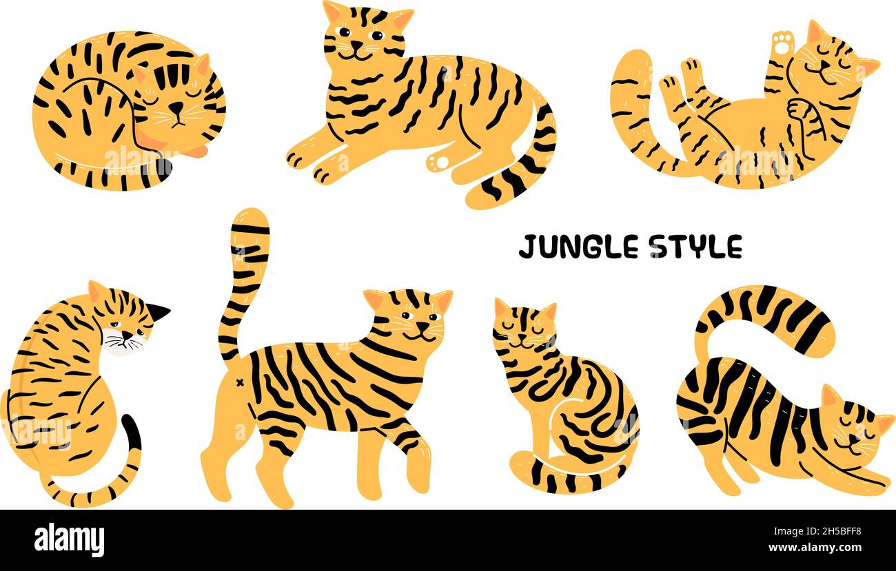 Yellow black cats. House cat look like tiger, cartoon isolated wild jungle animals vector collection Stock Vector