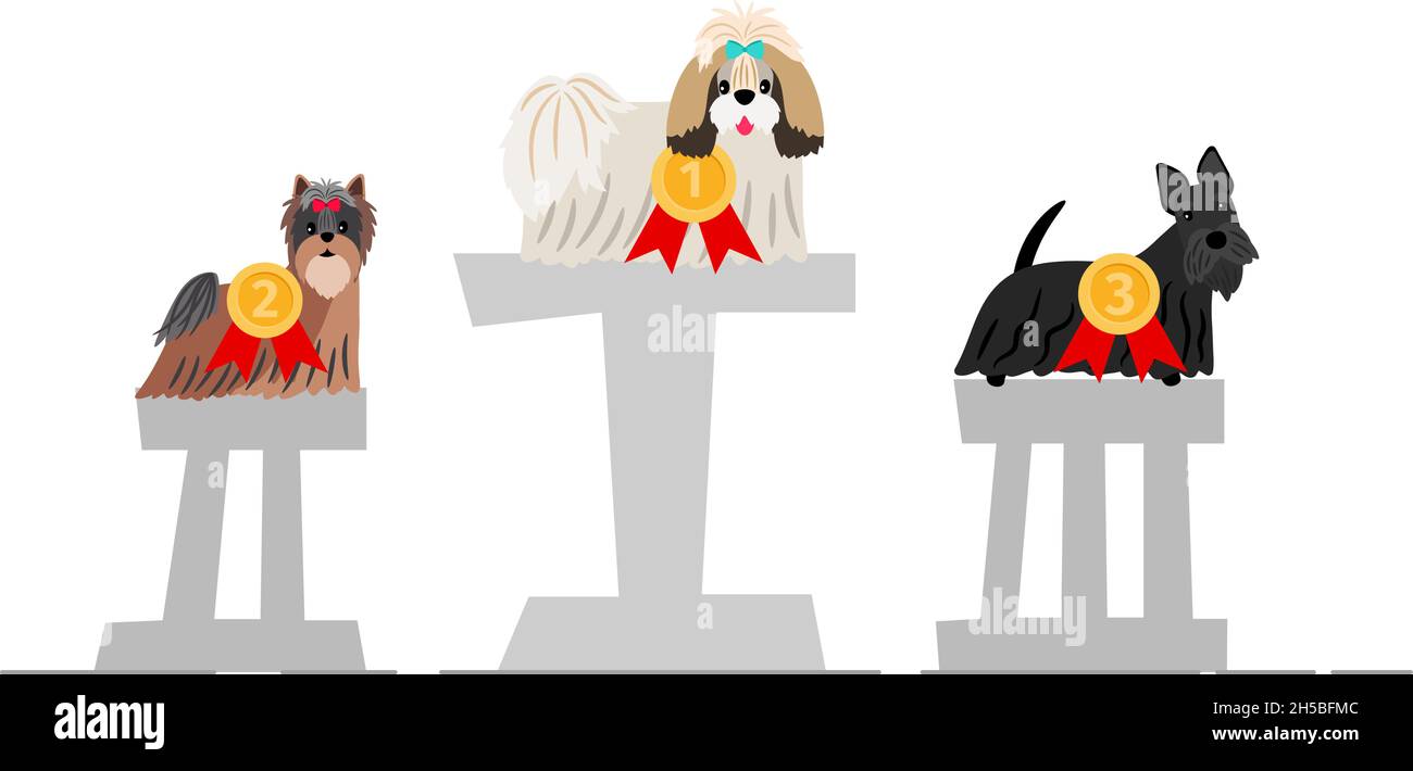 Dogs winner podium. Best in show concept. Cartoon dog with medals on numbers vector illustration Stock Vector