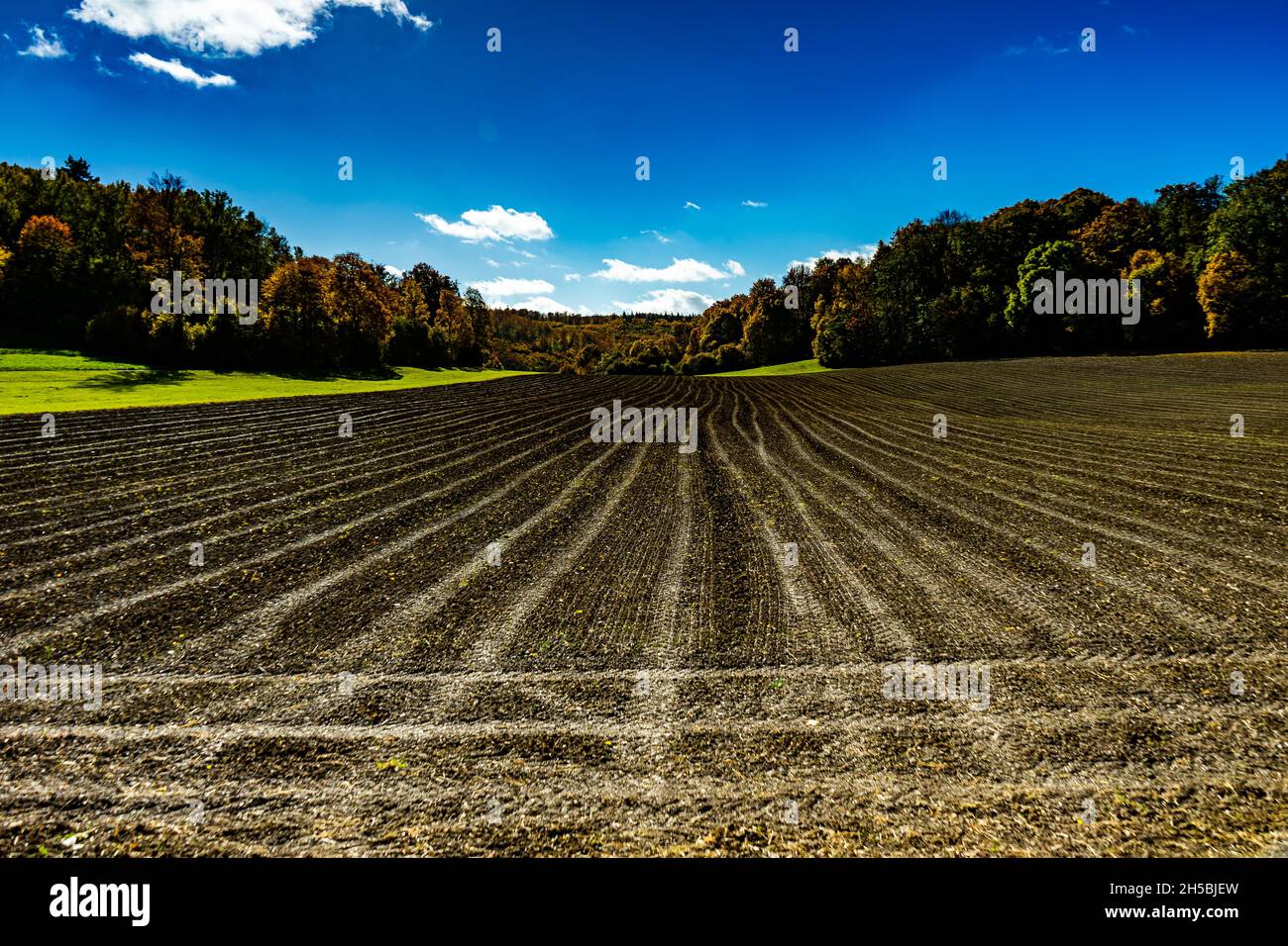 View over a field with traces of the blue sky in autumn Stock Photo