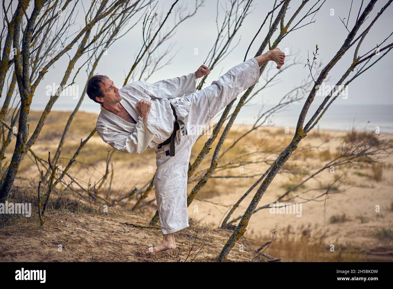 Karate man in an old kimono and black belt training side kick at the