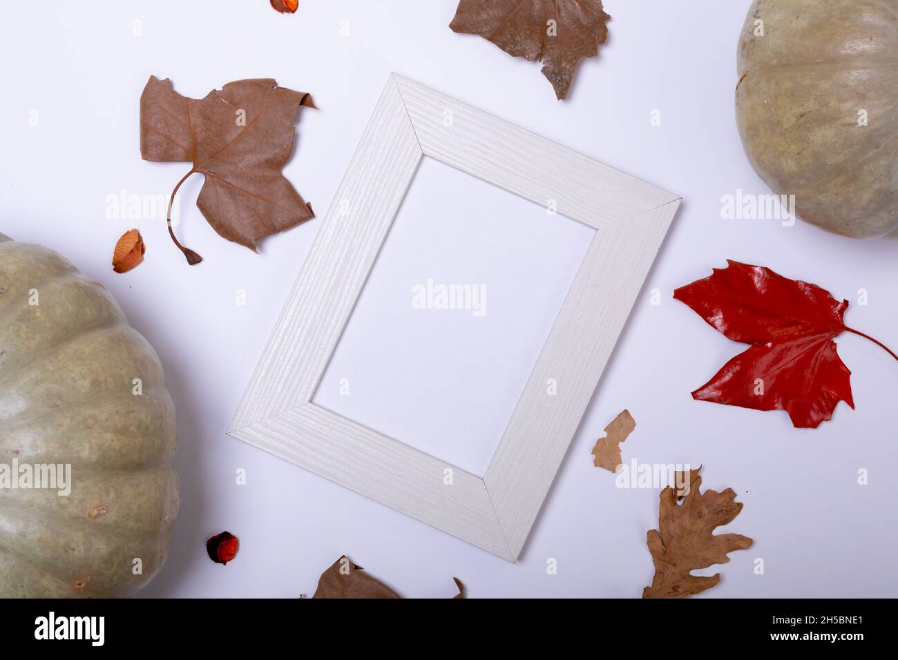 Pumpkin, autumn leaves and empty frame with copy space on white surface ...