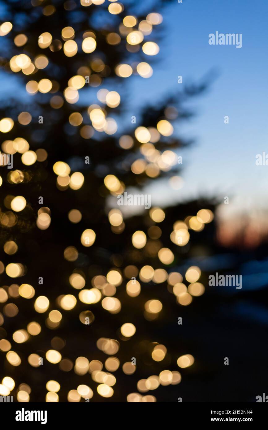 Tree bokeh hi-res stock photography and images - Alamy