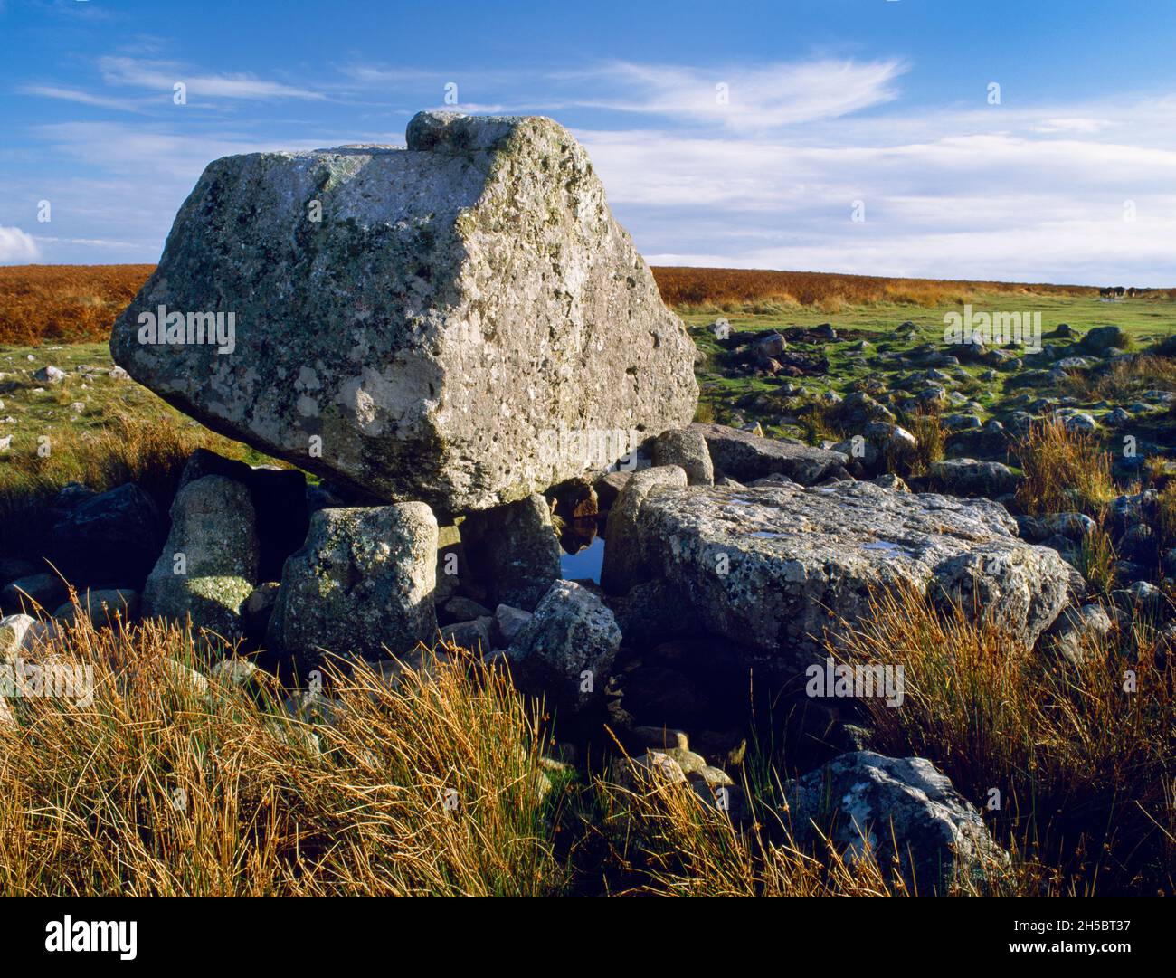 View SE of Arthur's Stone Neolithic burial chamber on Cefn Bryn Common