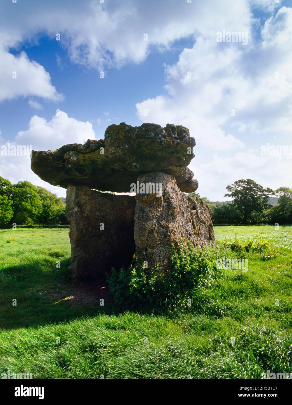 The exposed limestone slabs of St Lythans Neolithic burial chamber, Vale of Glamorgan, Wales: looking NW at the open chamber with a massive capstone. Stock Photo