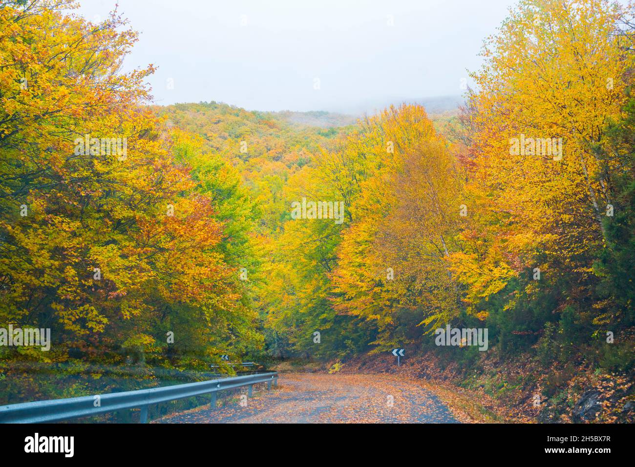 Autumn landscape. Riofrio de Riaza, Segovia province, Castilla Leon, Spain. Stock Photo