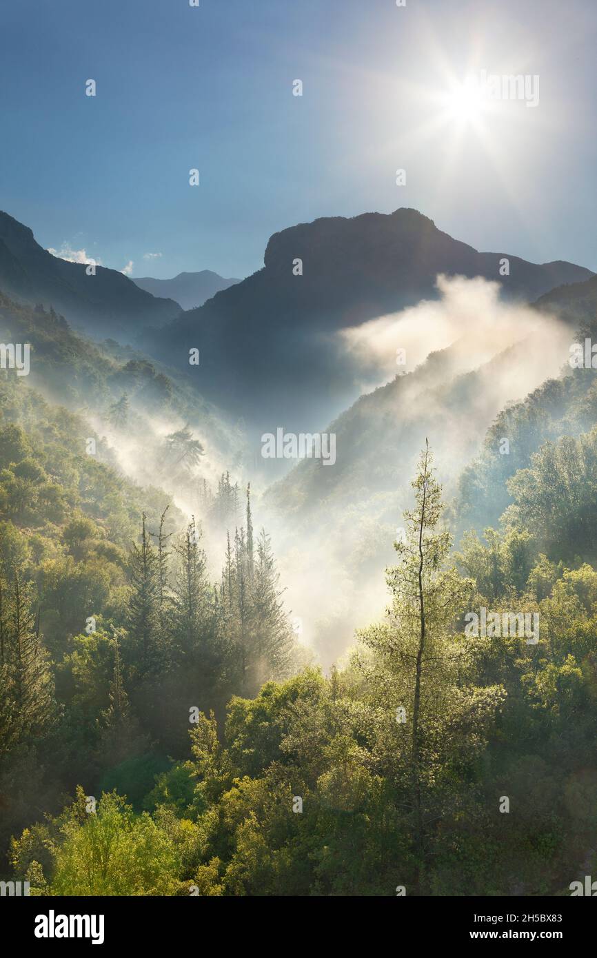 Mist rising from the depths of the Rindomo Gorge in the morning sun in the Southern Peloponnese of Greece Stock Photo