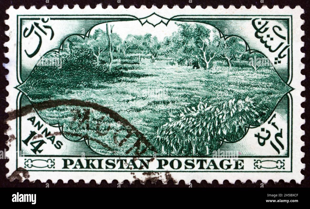 PAKISTAN - CIRCA 1954: a stamp printed in Pakistan shows Tea Garden ...