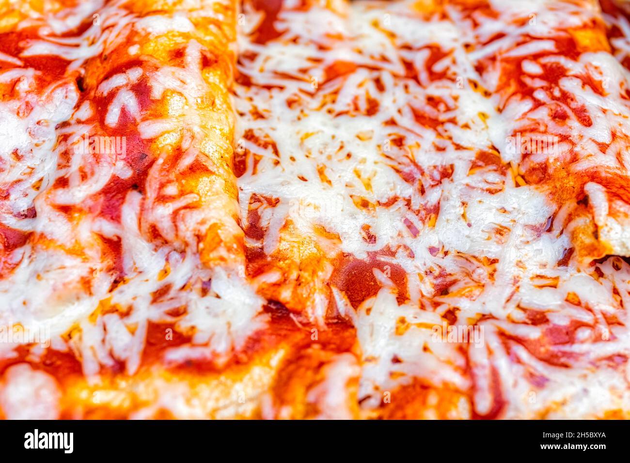 Macro closeup of Mexican food enchiladas with tomato sauce, wrapped