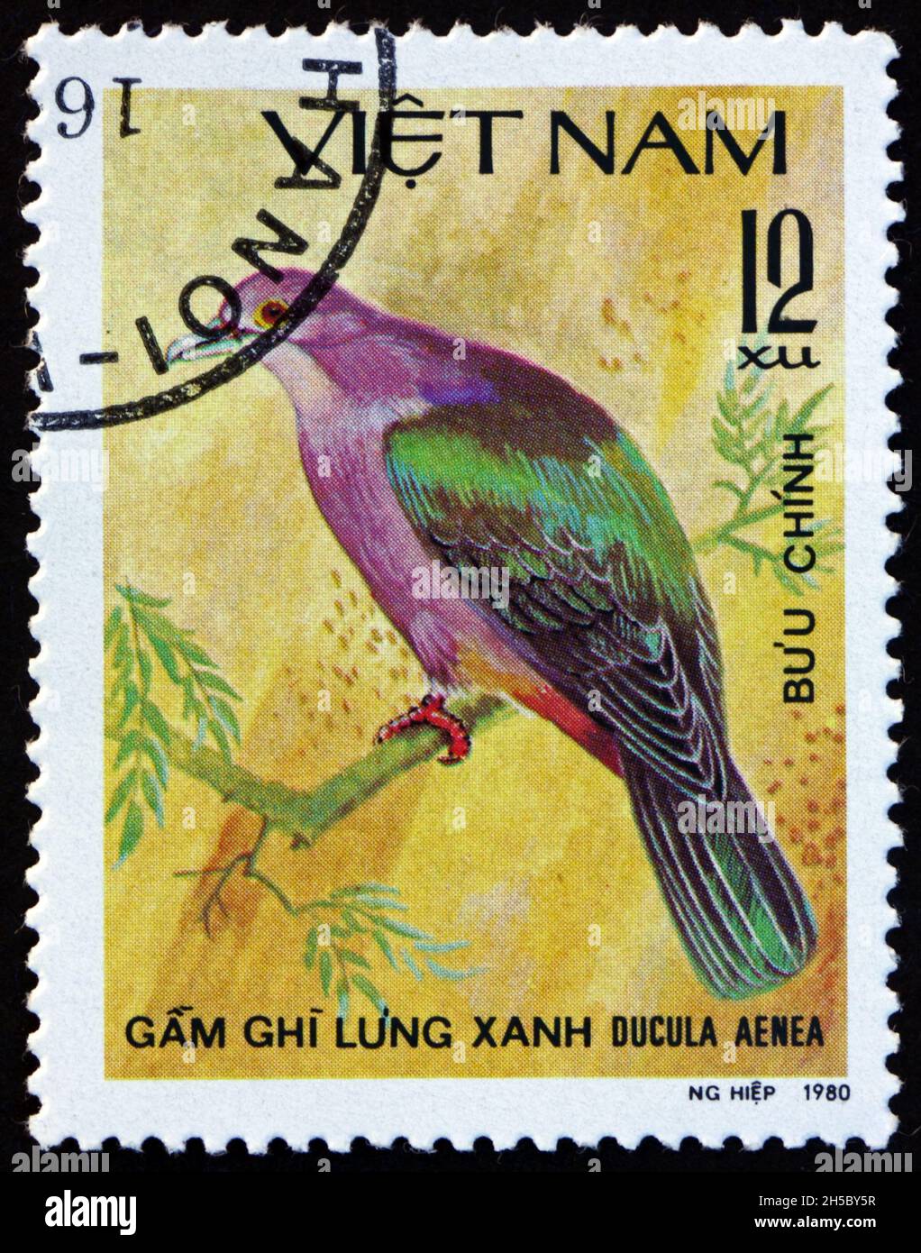 VIETNAM - CIRCA 1981: a stamp printed in Vietnam shows green imperial pigeon, ducula aenea, is a large forest pigeon, circa 1981 Stock Photo