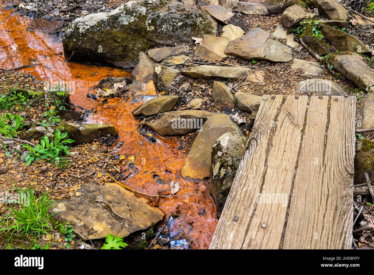 Shamokin springs nature preserve hiking trail in Wintergreen ski resort town city with small creek stream flowing and wooden planks bridge crossing in Stock Photo