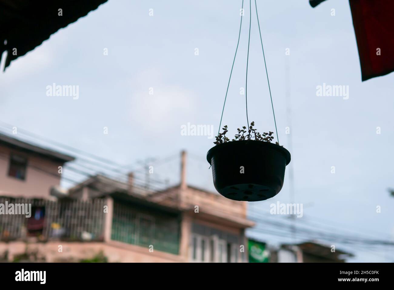 Plant pot hanging from the ceiling with view of town house in Bangkok, Thailand in the background Stock Photo