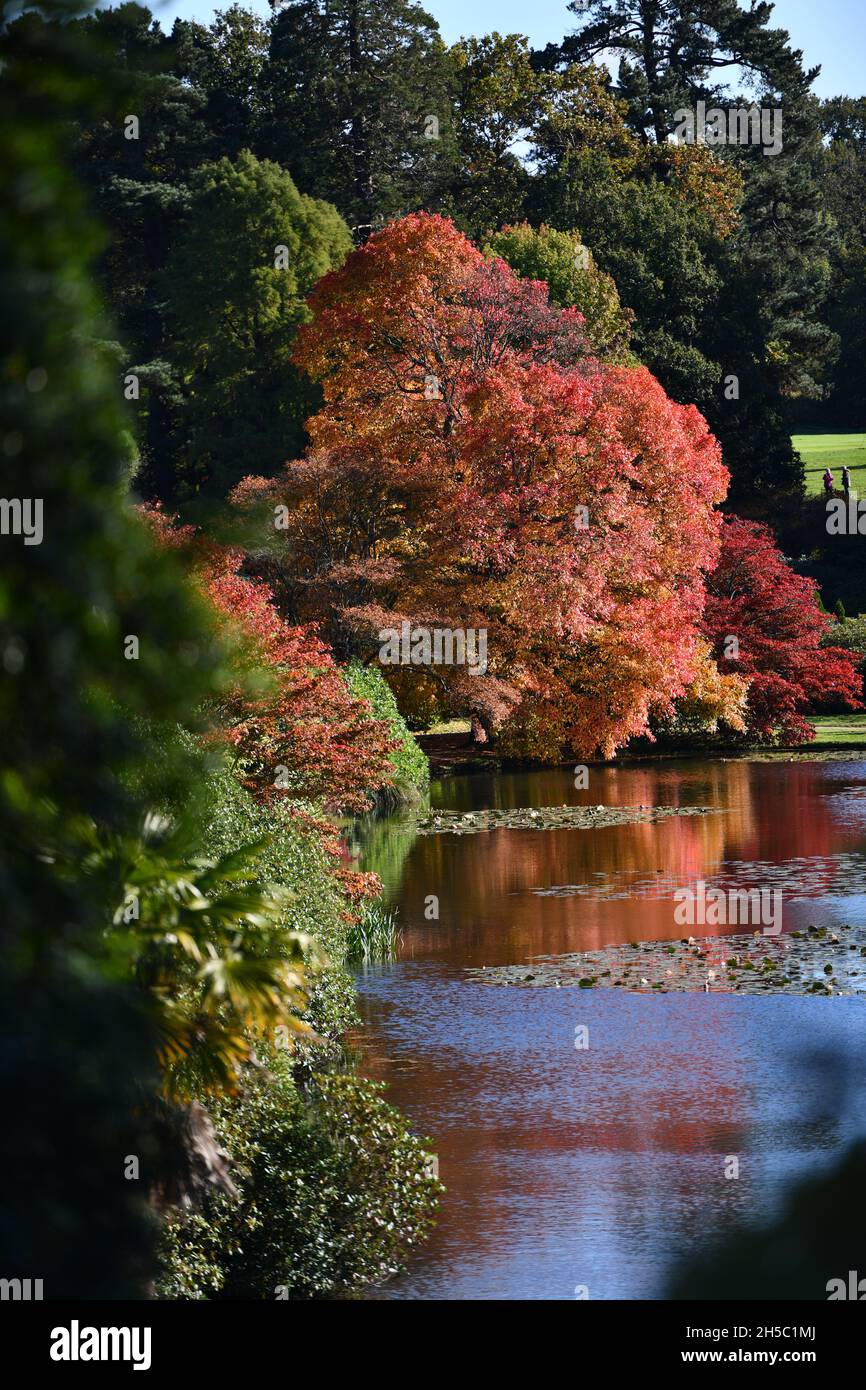 Trees and parks in Autumn colours Stock Photo - Alamy