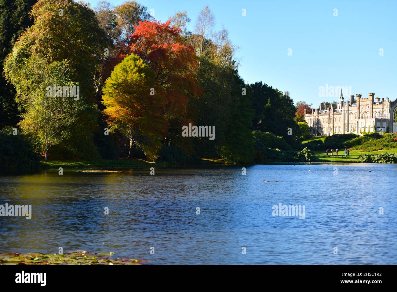 Trees and parks in Autumn colours Stock Photo - Alamy