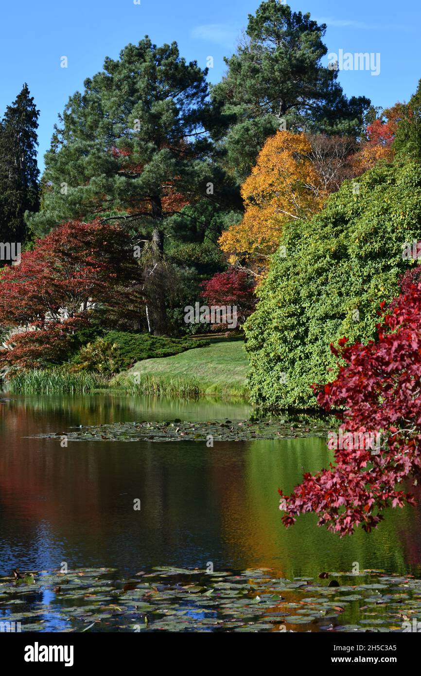 Trees and parks in Autumn colours Stock Photo - Alamy