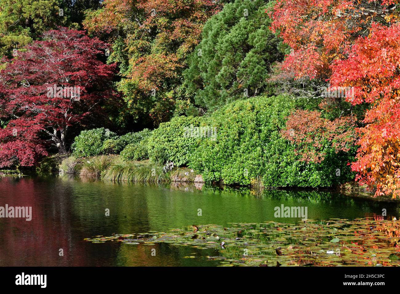 Trees and parks in Autumn colours Stock Photo - Alamy