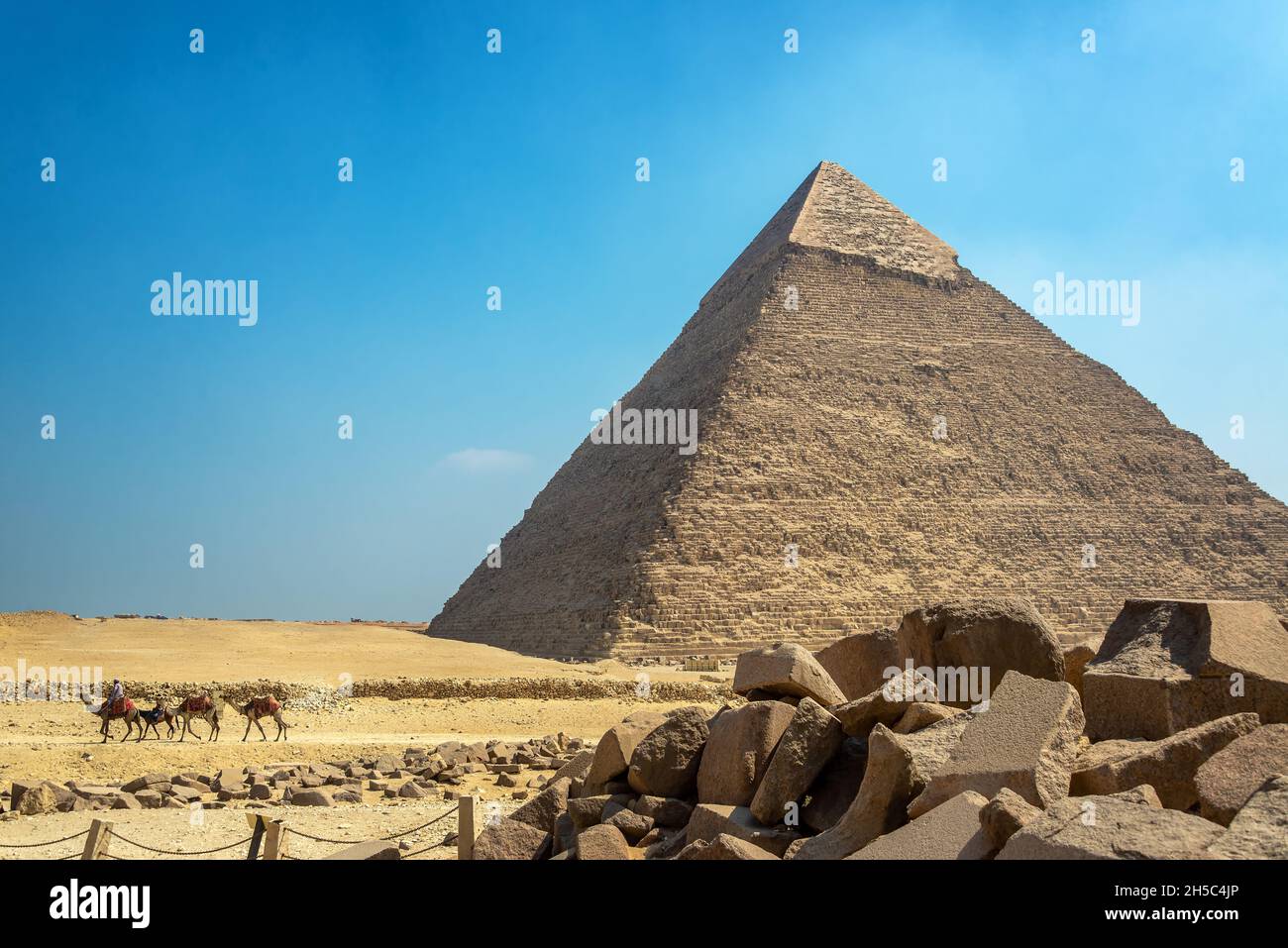 Camels passing by one of the pyramids at the Giza Pyramid Complex in Egypt Stock Photo