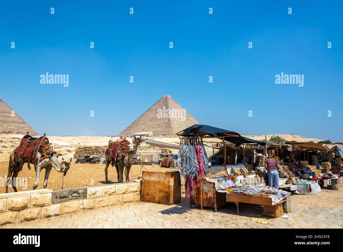 GIZA, EGYPT - JULY 14, 2021: Camels and vendors near the Great Pyramid in Giza, Egypt Stock Photo
