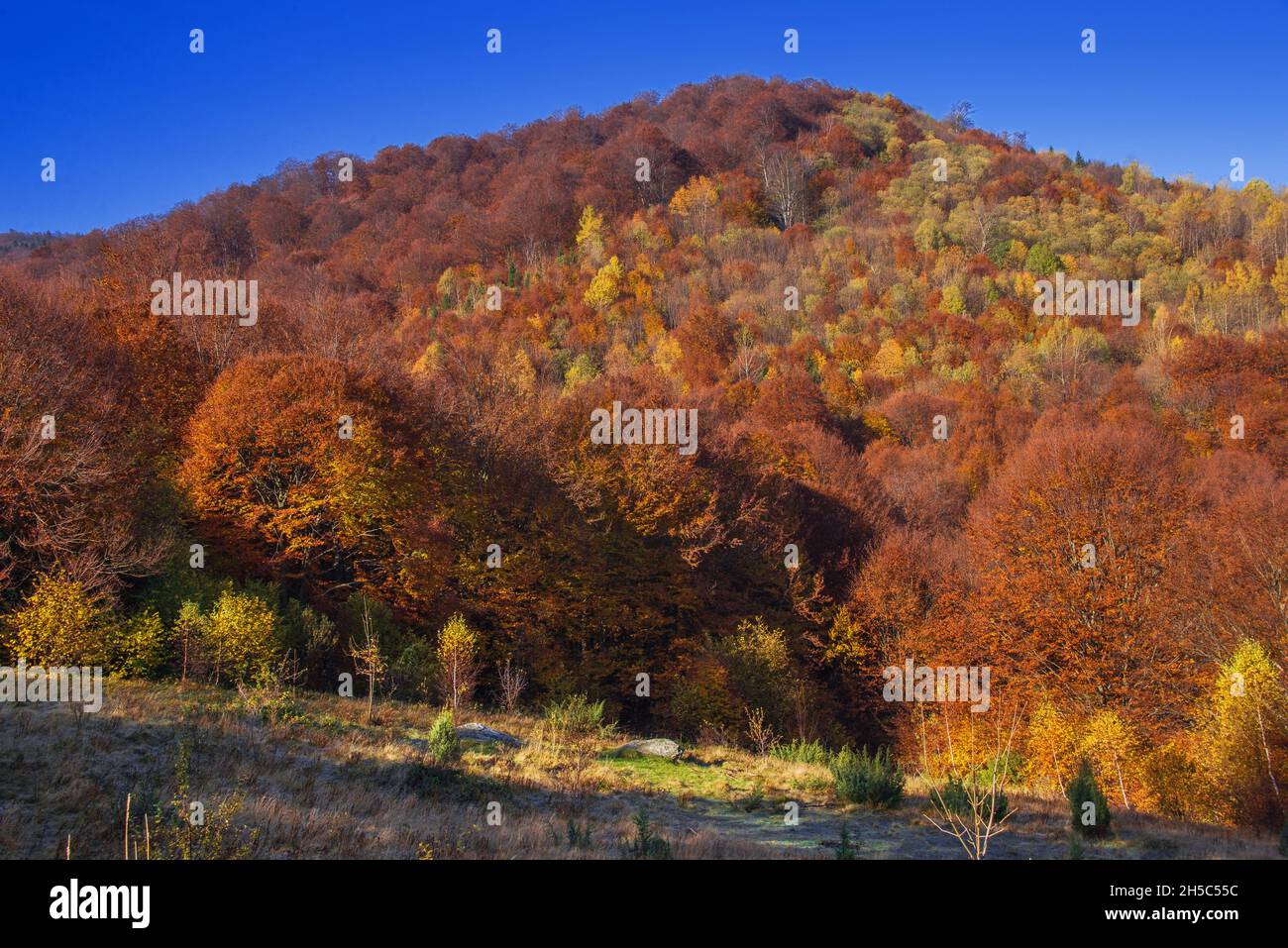 View of hills of Water Dividing ridge covered in red, orange and yellow ...
