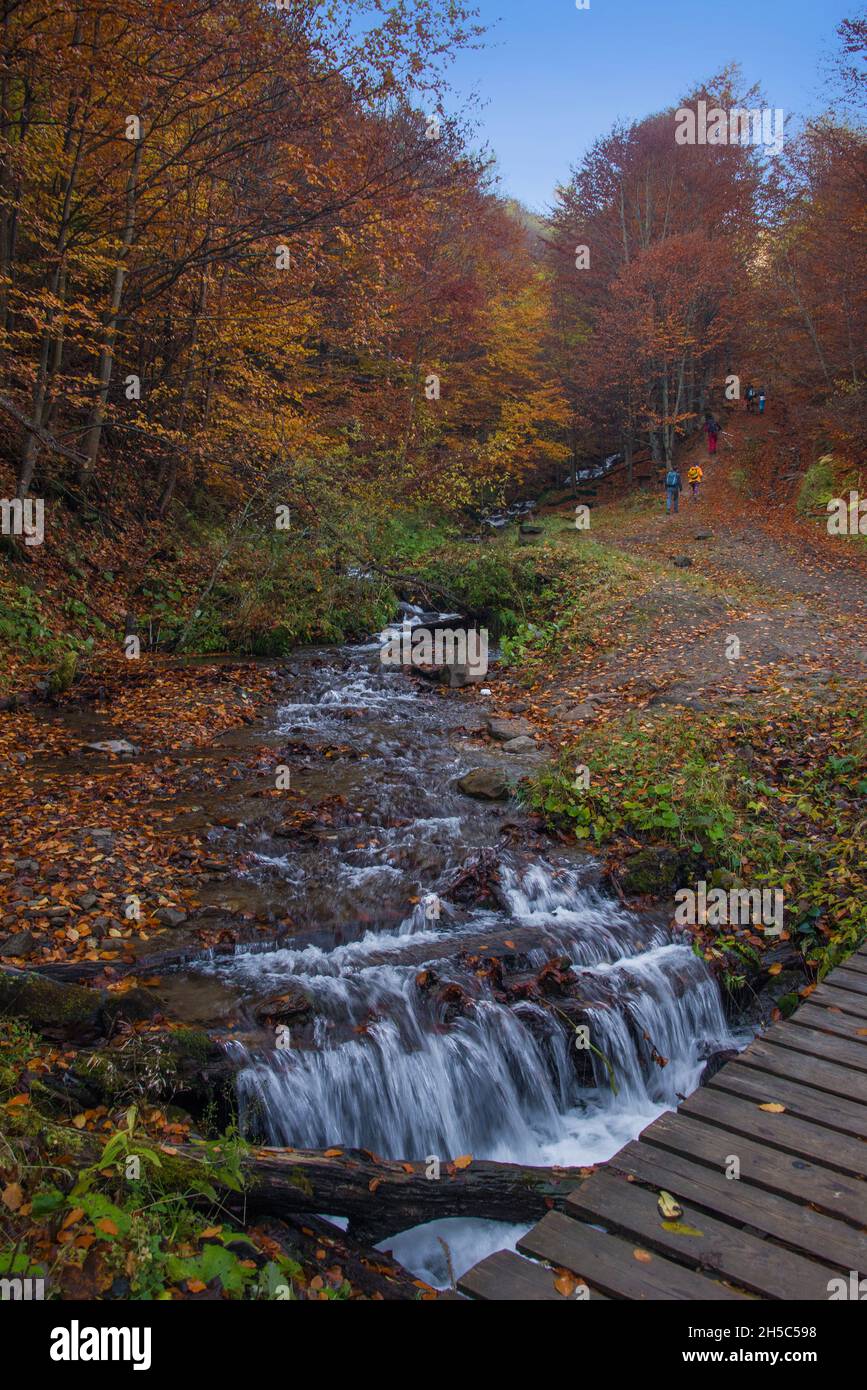 View of hills of Water Dividing ridge covered in red, orange and yellow ...