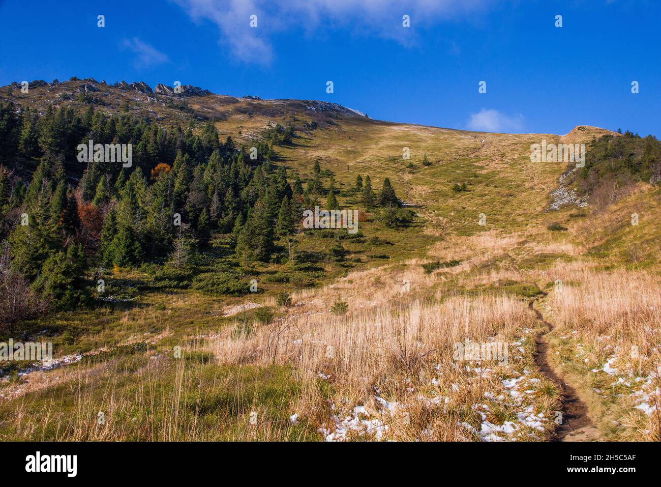View of hills of Water Dividing ridge covered ingreen pine trees and ...