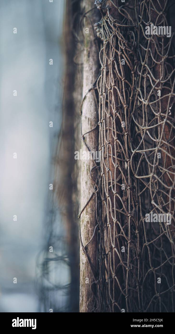Closeup of old fishing net. Old wood. Stock Photo