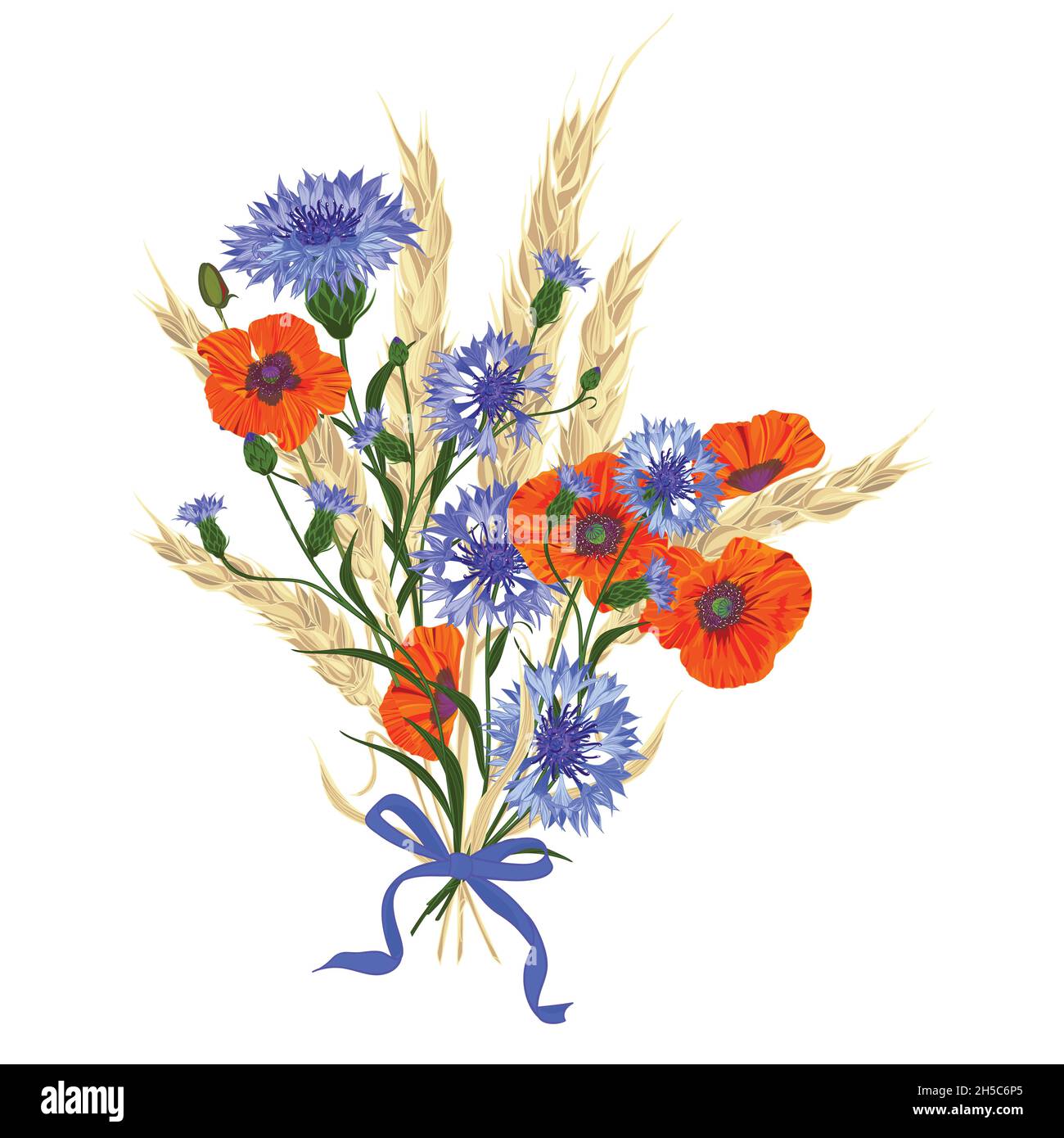 Beautiful bouquet of cornflowers, poppies and wheat spikelets, tied with silk ribbon Stock Vector