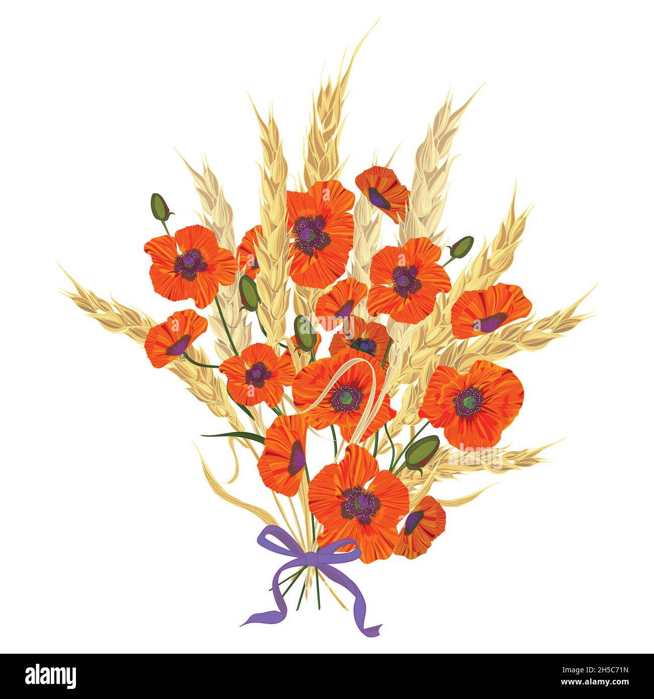 Beautiful bouquet of poppies and wheat spikelets, tied with silk ribbon Stock Vector