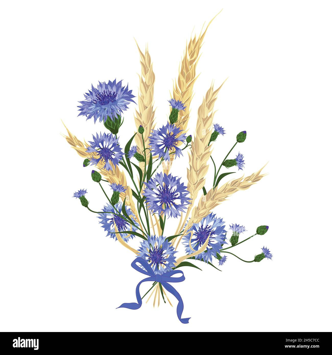 Beautiful bouquet of cornflowers and wheat spikelets, tied with silk ribbon Stock Vector