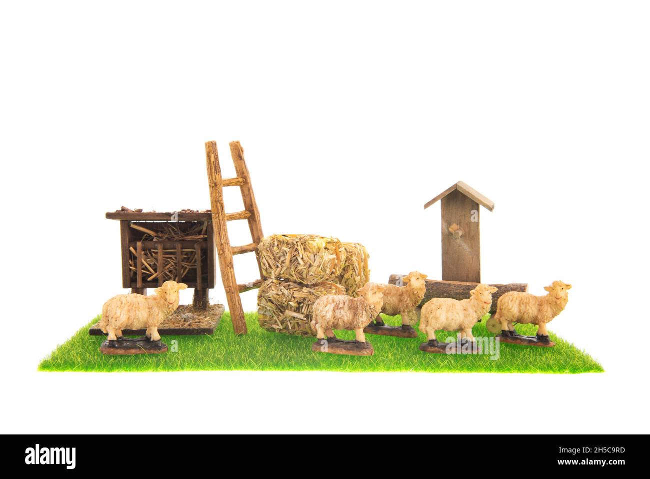 Sheep cattle at the farm isolated over white background Stock Photo - Alamy