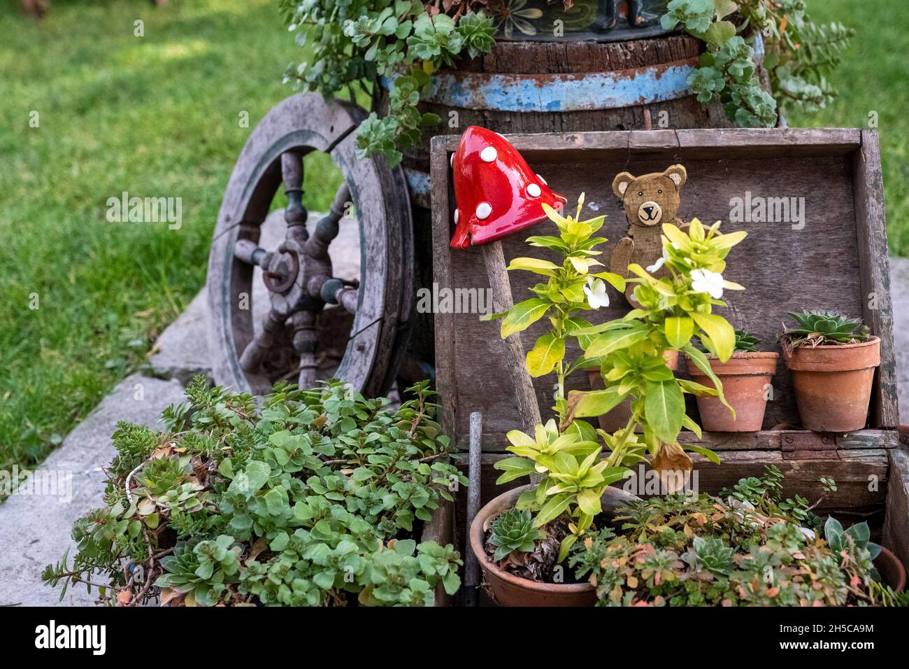 Idyllic plant display outside a traditiona cottage, Mezőkövesd, Hungary Stock Photo