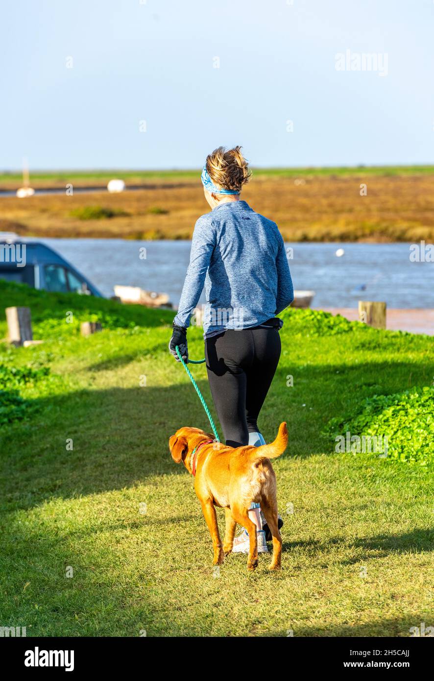 What Is The Best Dog For Jogging With