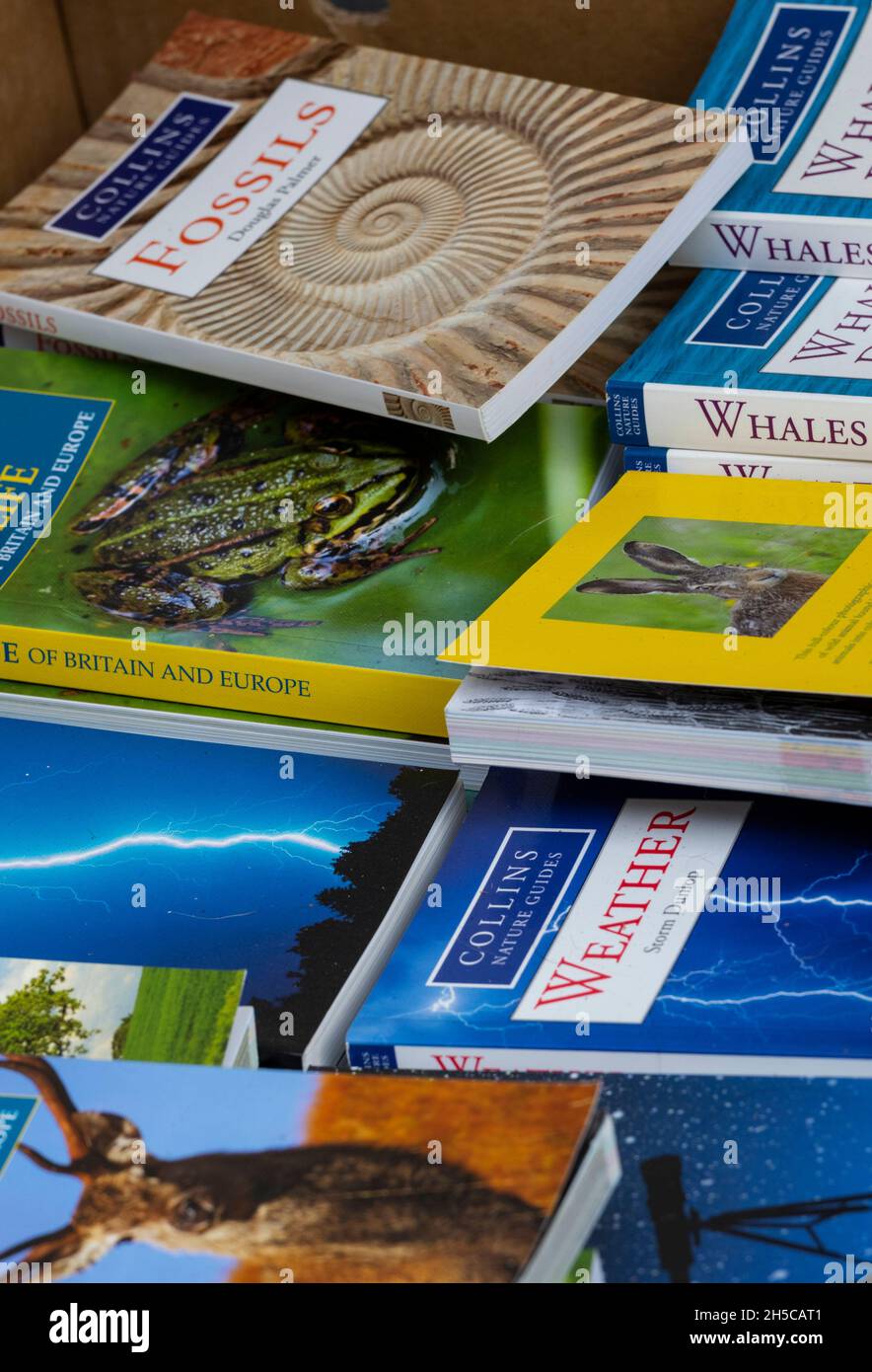 natural history educational books, colourful books on nature and wildlife, teacing and learning literature, wildlife books at bookshop, booksellers. Stock Photo