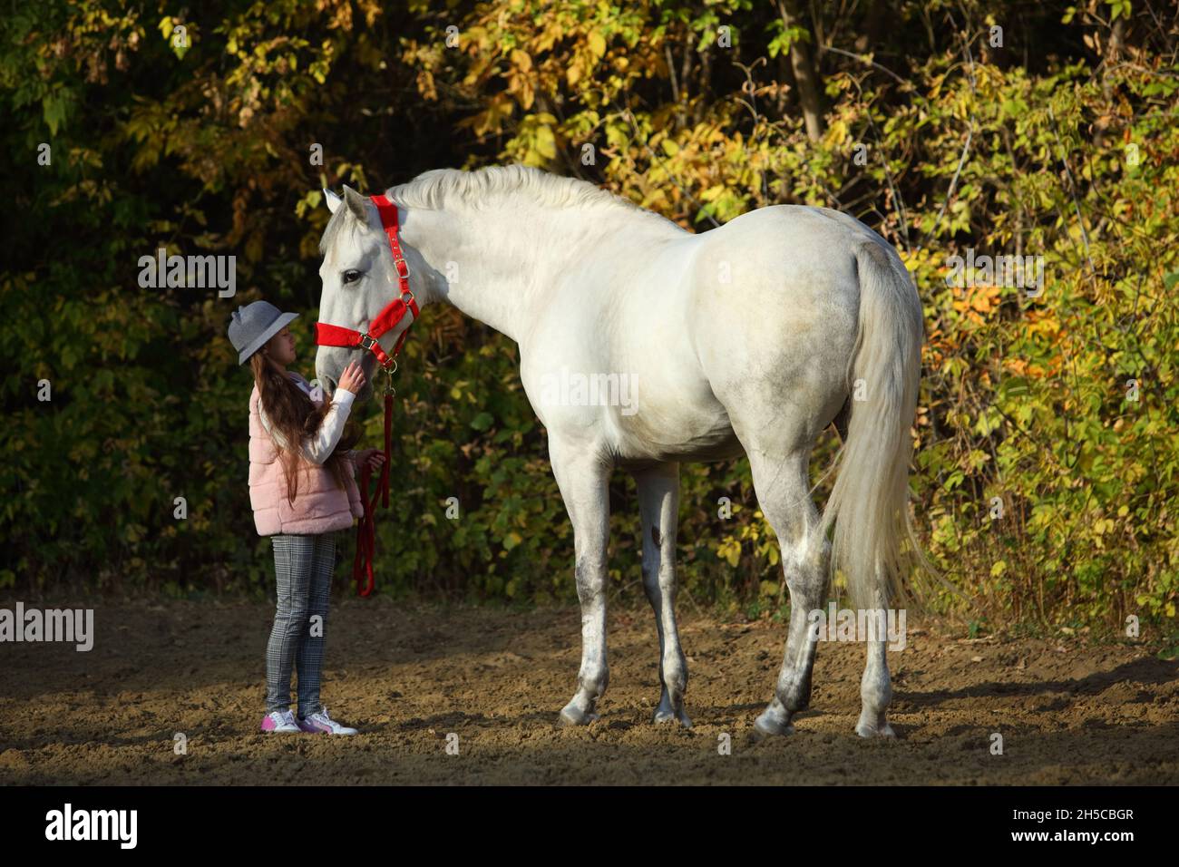 Tambov, Russia, October 20, 2020: Child girl and andalusian dressage horse at the official rehearsal of the Pokrovskaya fair exhibition Stock Photo