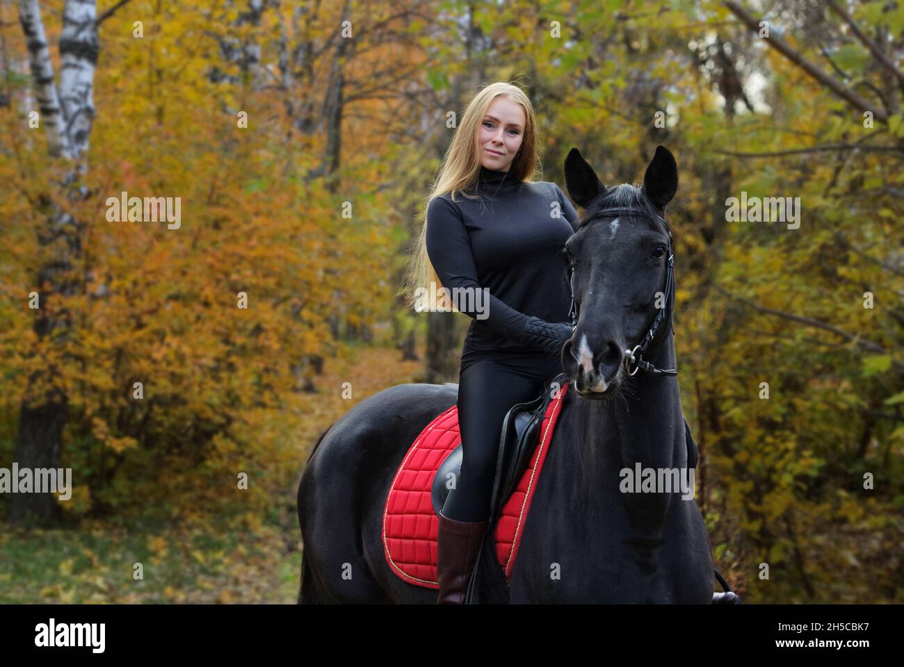 Beautiful girl ride her horse in autumn forest at sunset Stock Photo