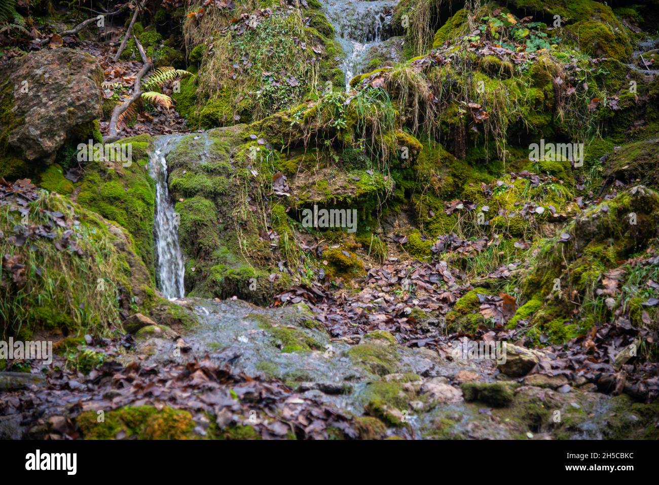 sandy rock along which flows a clear forest spring water forming a waterfall. Stones with green moss. Stock Photo