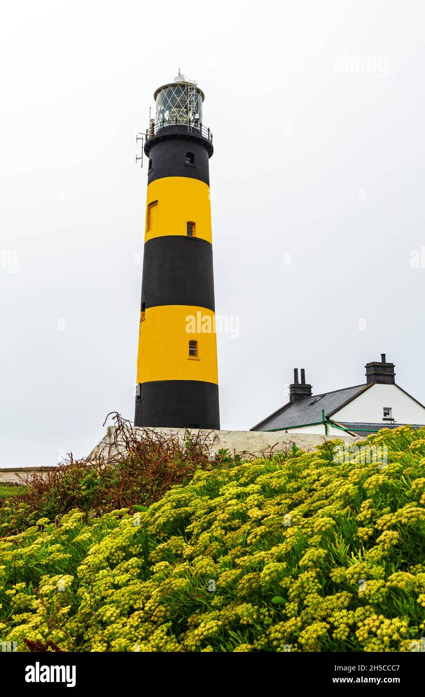 St. John's Point Lighthouse, County Down, Northern Ireland, United Kingdom Stock Photo