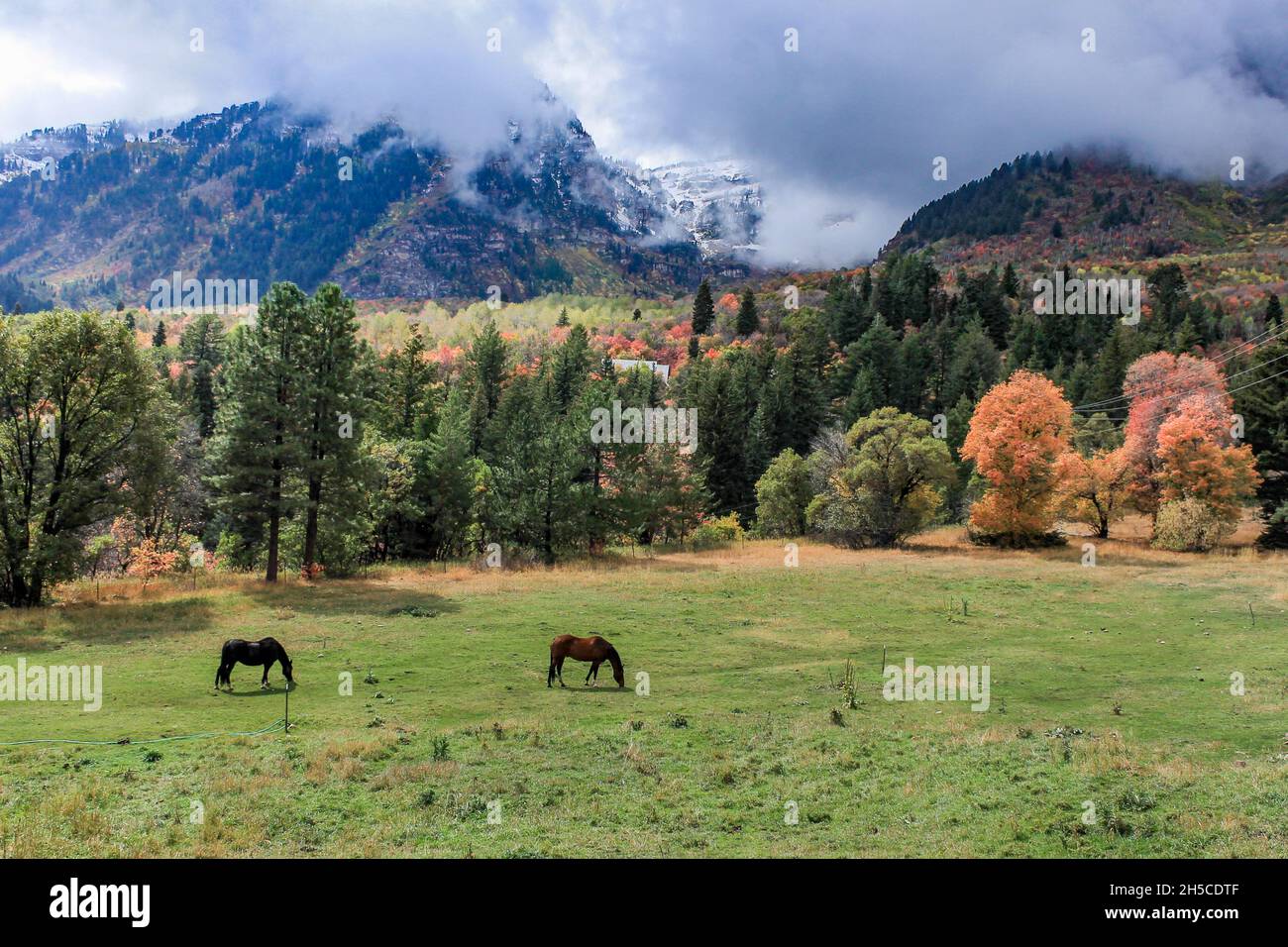 Backway hi-res stock photography and images - Alamy
