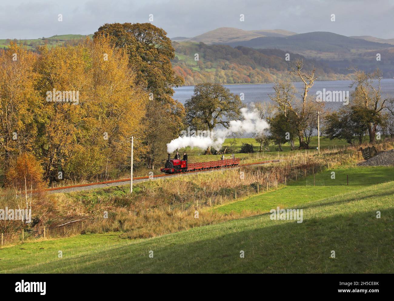 Hunslet 'George B' heads towards Llanuwchllyn with a slate train on 7.11.21 Stock Photo