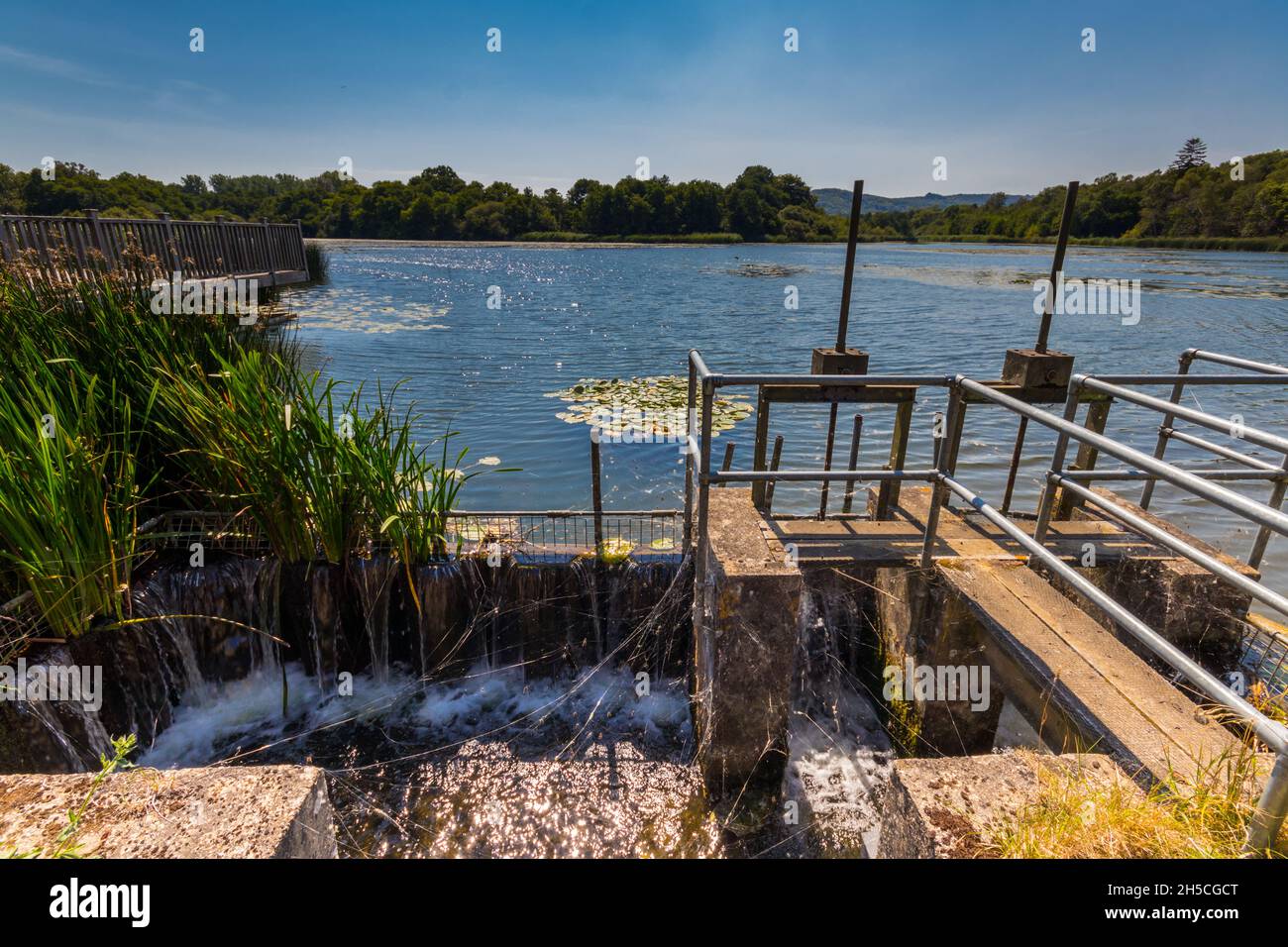 Burton Mill pond near Duncton, Petworth, West Sussex, UK Stock Photo Alamy