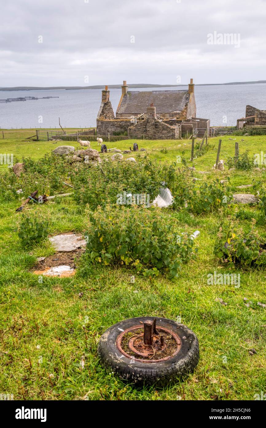 Semi-derelict remote farmstead & pony fank at Kirkabister on Yell, Shetland Islands.  On shores of Basta Voe. Stock Photo